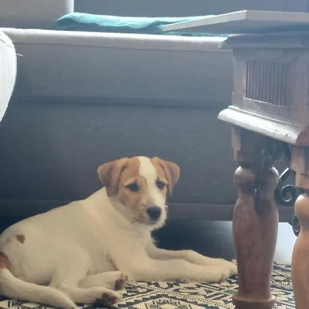 Schnucki Lägenhet *